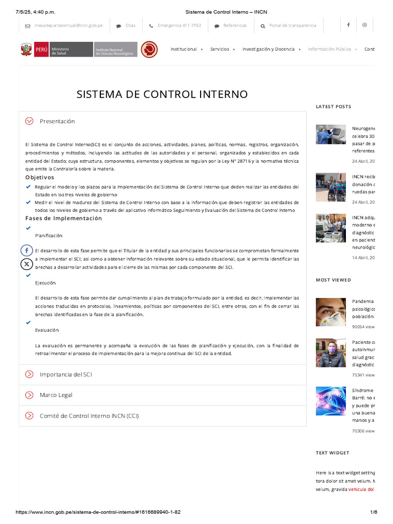 Implementación del Sistema de Control Interno | PDF