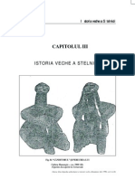 Istoria Veche a Stelnicii  - Monografie  Vol. I - Capitolul III Autor: Ion Munteanu