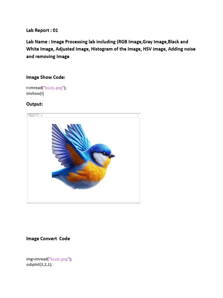 Image Processing Techniques Lab Report | PDF | Signal Processing ...