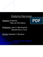 sistemanervioso-090801154724-phpapp02