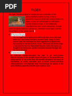 The Tiger General Paper | PDF | Tiger | Leopard