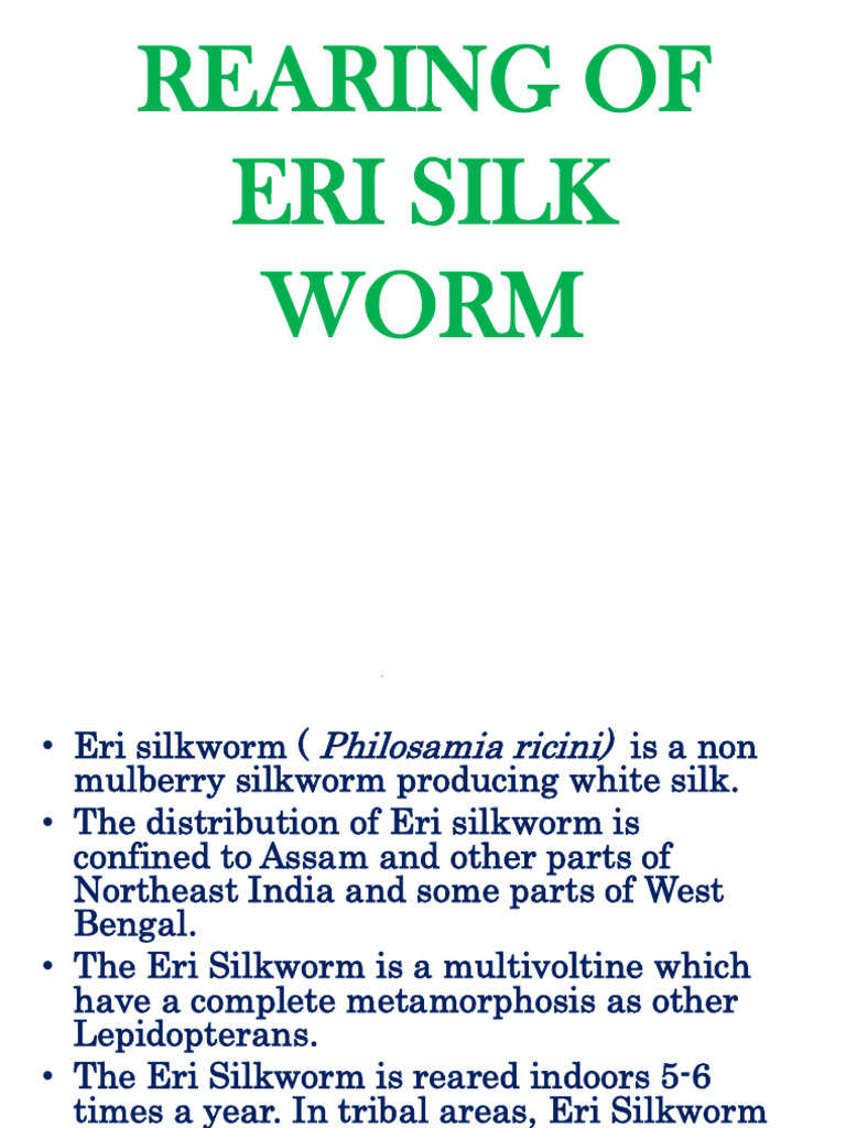 Rearing of Eri Silk Worm | PDF | Pupa | Silk