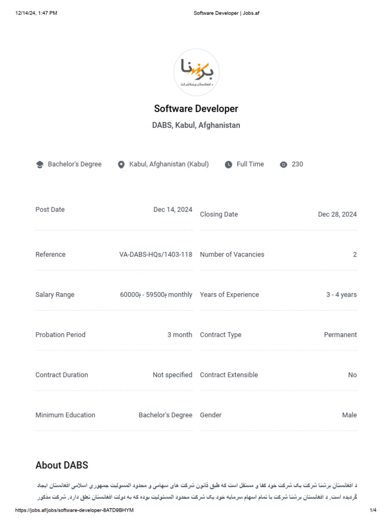 Software Developer Position at DABS | PDF | Databases | Computing