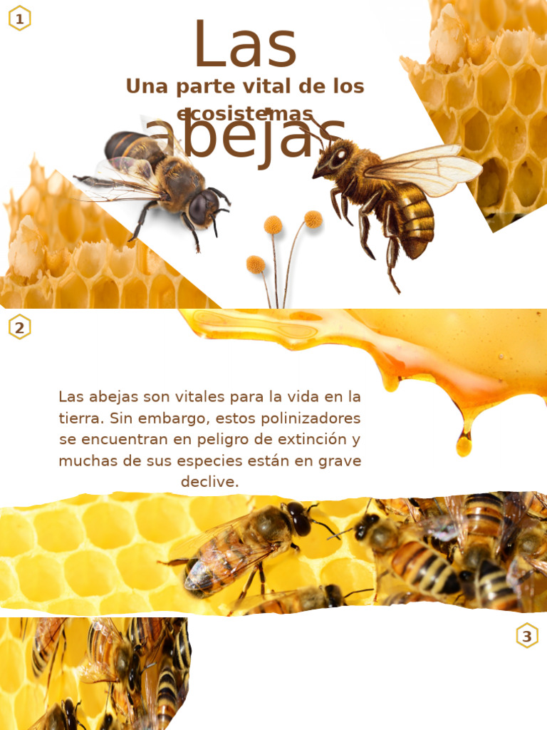 Importancia y funciones de las abejas | PDF | Western Honey Bee | Abejas