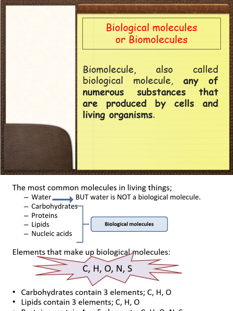 IGYR 1 - CH4&5 - Biological Molecules and Ezymes | PDF | Carbohydrates ...