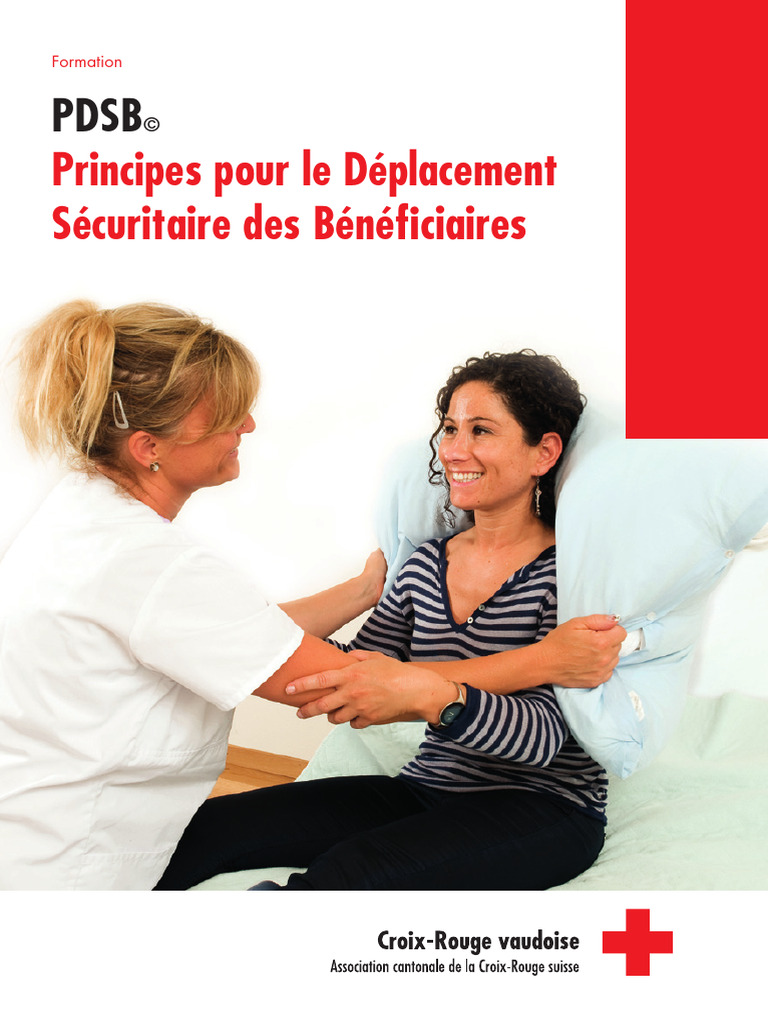 Formation PDSB : Principes et Cours | PDF