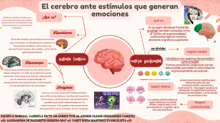 Estructuras cerebrales y emociones | PDF | Cerebro | Las emociones