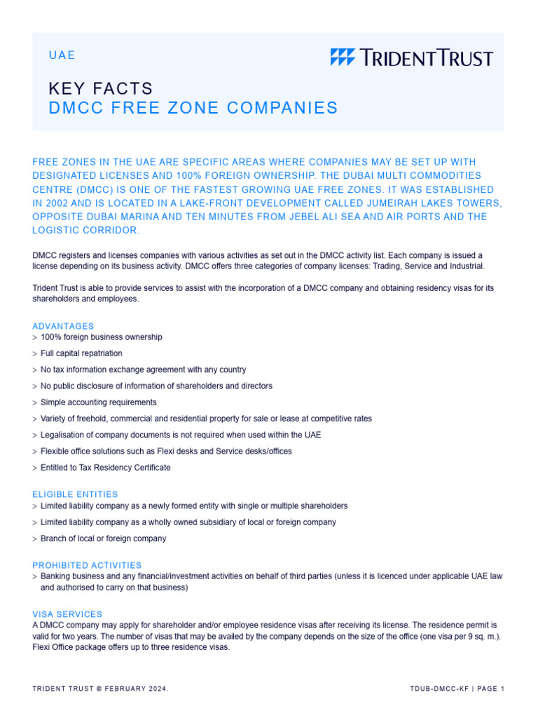 Tdub DMCC KF | PDF | Shareholders | Travel Visa