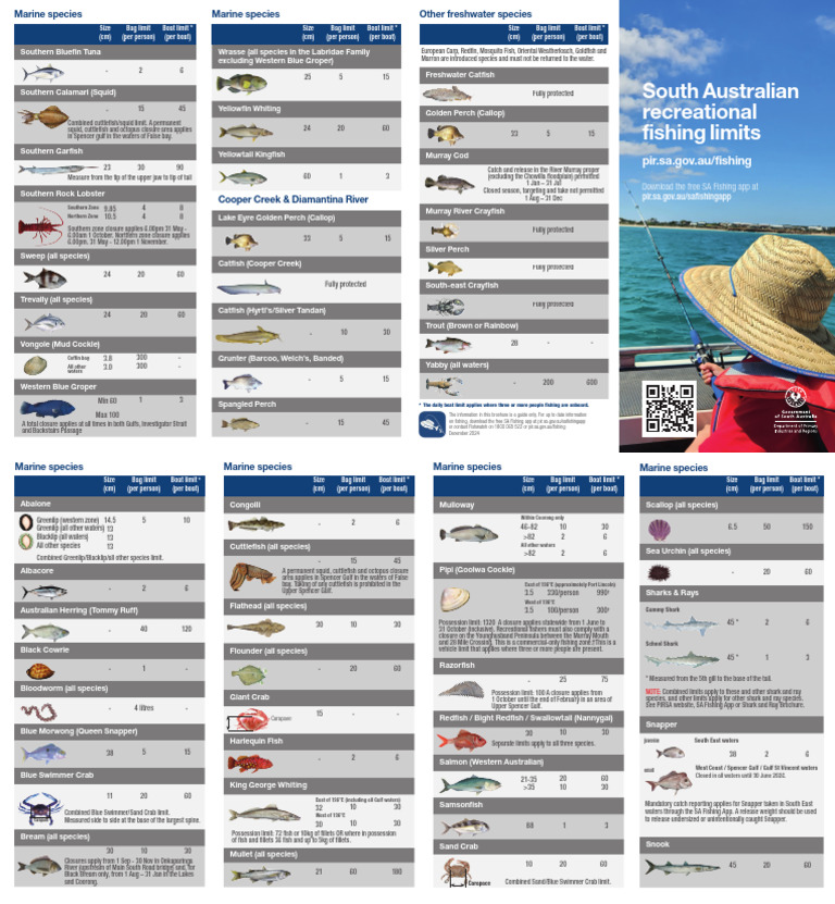 SA Fishing Size and Bag Limits Guide | PDF | Fish | Fish And Humans