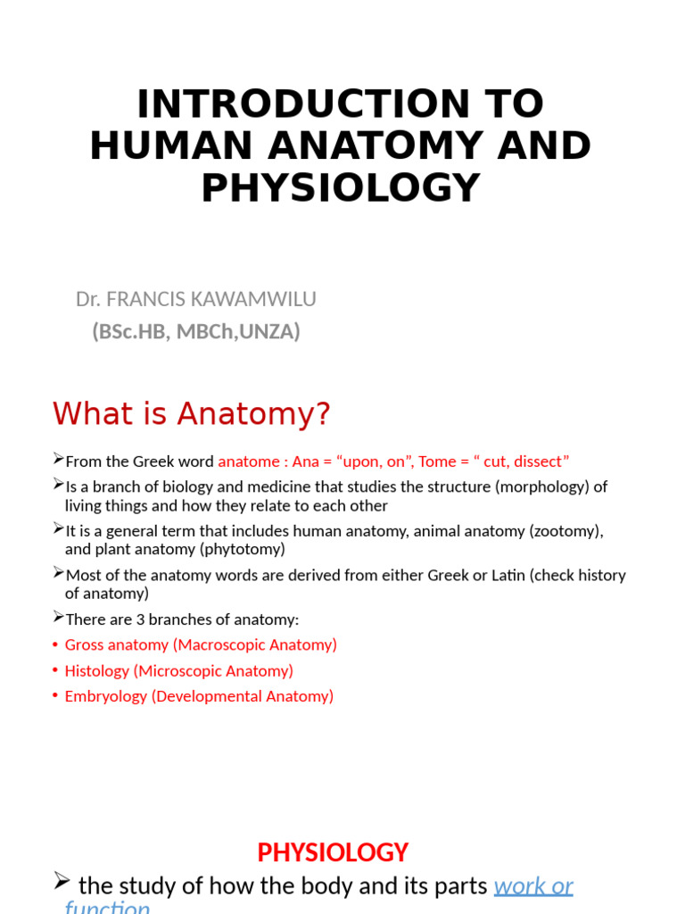 Anatomy and Physiology Overview | PDF | Anatomical Terms Of Motion ...