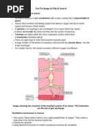 Fish Respiratory System Explained | PDF | Gill | Respiratory System