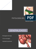 Patología Del Apendice