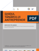 Ghidul antreprenorului