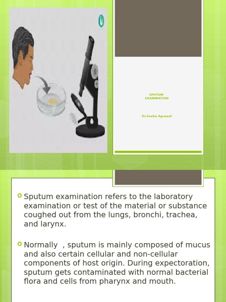 Sputum Examination: Procedures & Analysis | PDF | Pneumonia | Gram ...