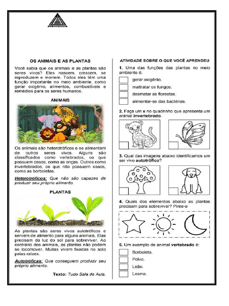 Escola Zinha Prates - Informações Gerais | PDF
