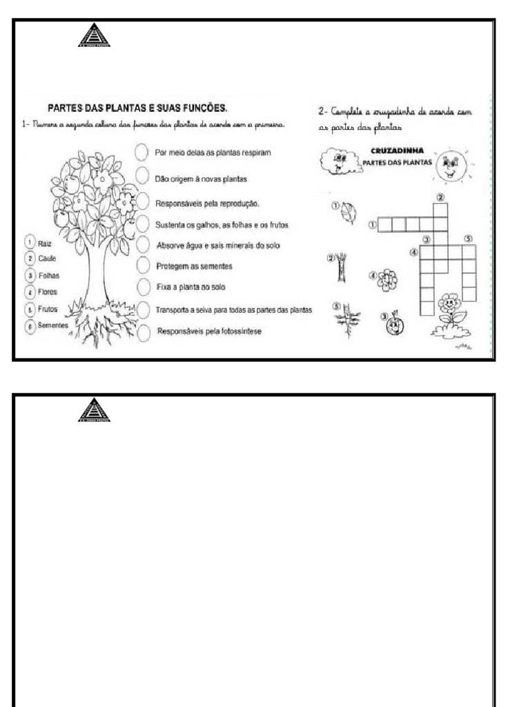 Escola Zinha Prates: Informações Gerais | PDF