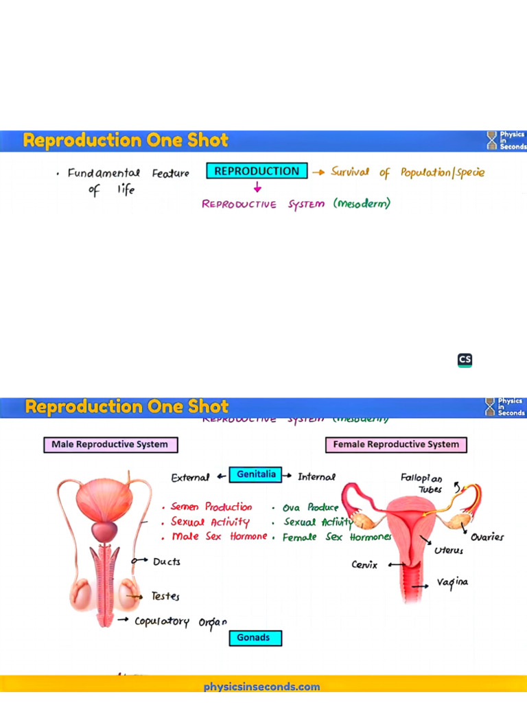 Reproduction | PDF