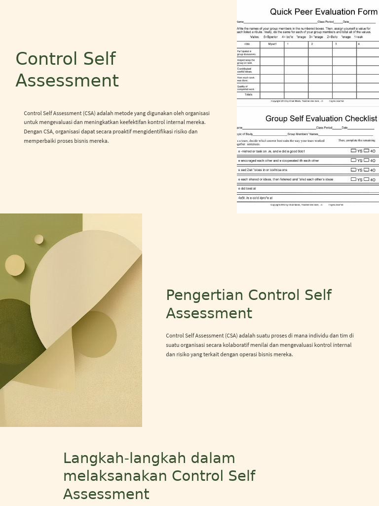 5.+control Self Assessment Ok | PDF