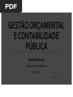 Estrutura do Plano de Contas SNC-AP | PDF | Contabilidade | Contas ...