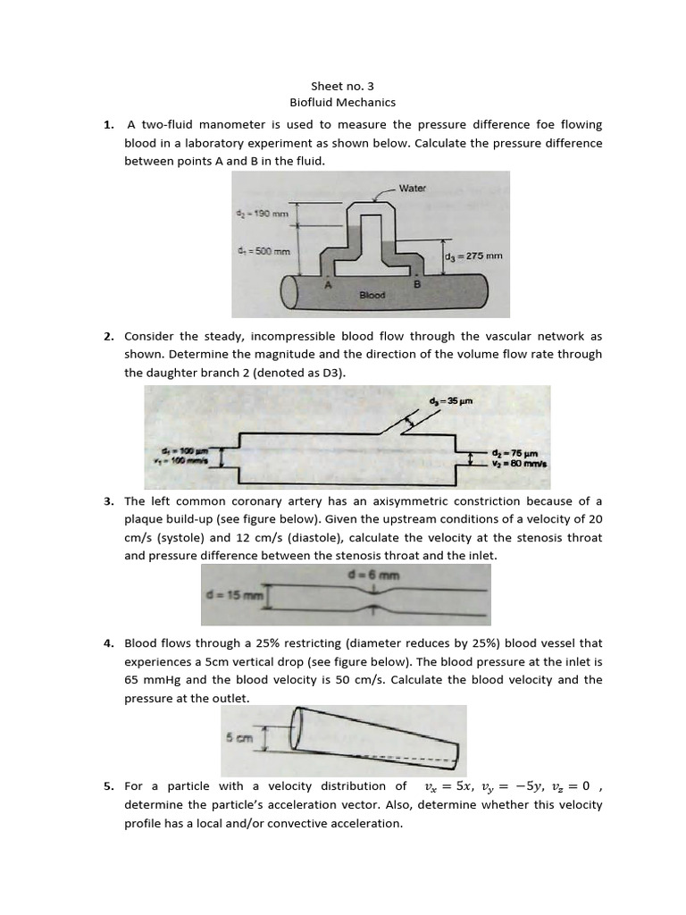 Biofluid Mechanics Pressure Calculations | PDF