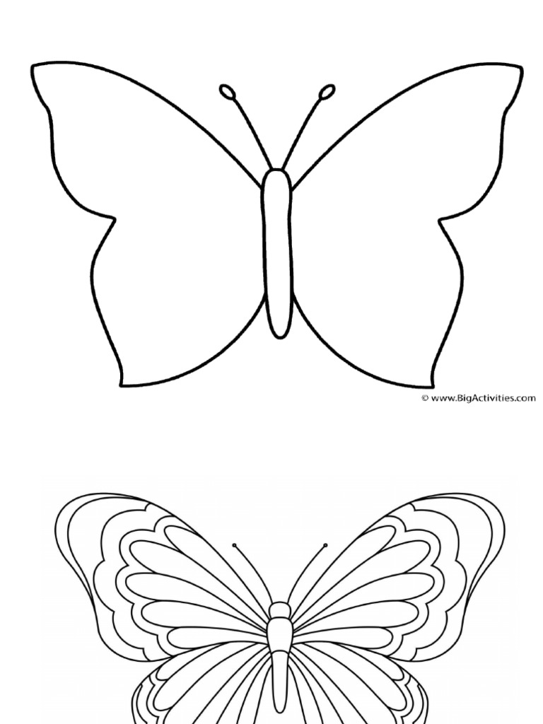 Butterflies | PDF