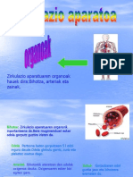 Zirkulazio Aparatua