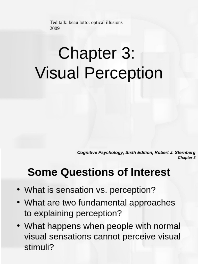 Understanding Visual Perception Basics | PDF | Perception | Senses