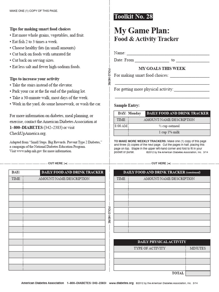 Food and Activity Tracker | PDF | Foods | Diabetes
