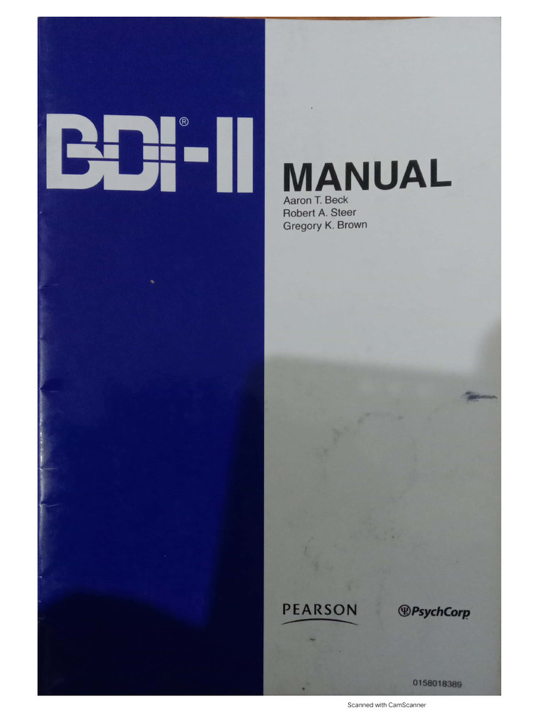 1st Scale Bdi | PDF