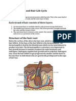Hair Growth Cycle