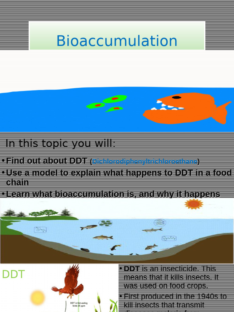 Bio Accumulation | PDF
