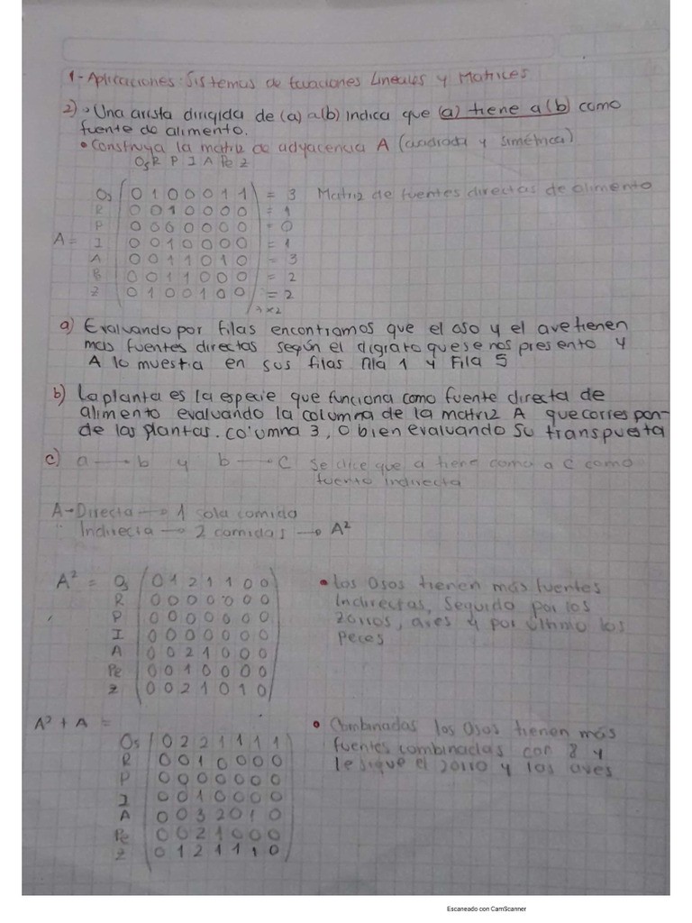2p 1 | PDF