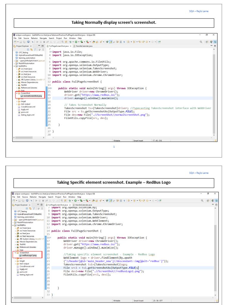 Selenium Shutterbug Screenshot Guide | PDF