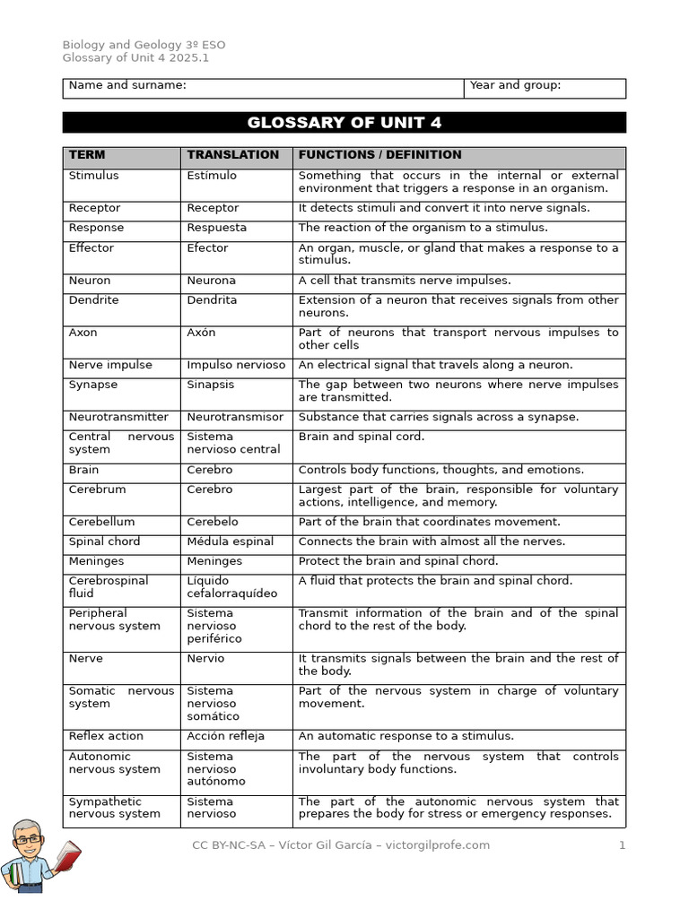 Biology and Geology Unit 4 Glossary | PDF | Neuron | Brain