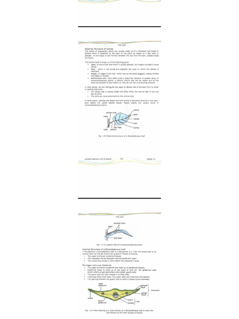 Life Sciences Term 2 Assignment (Textbook) | PDF