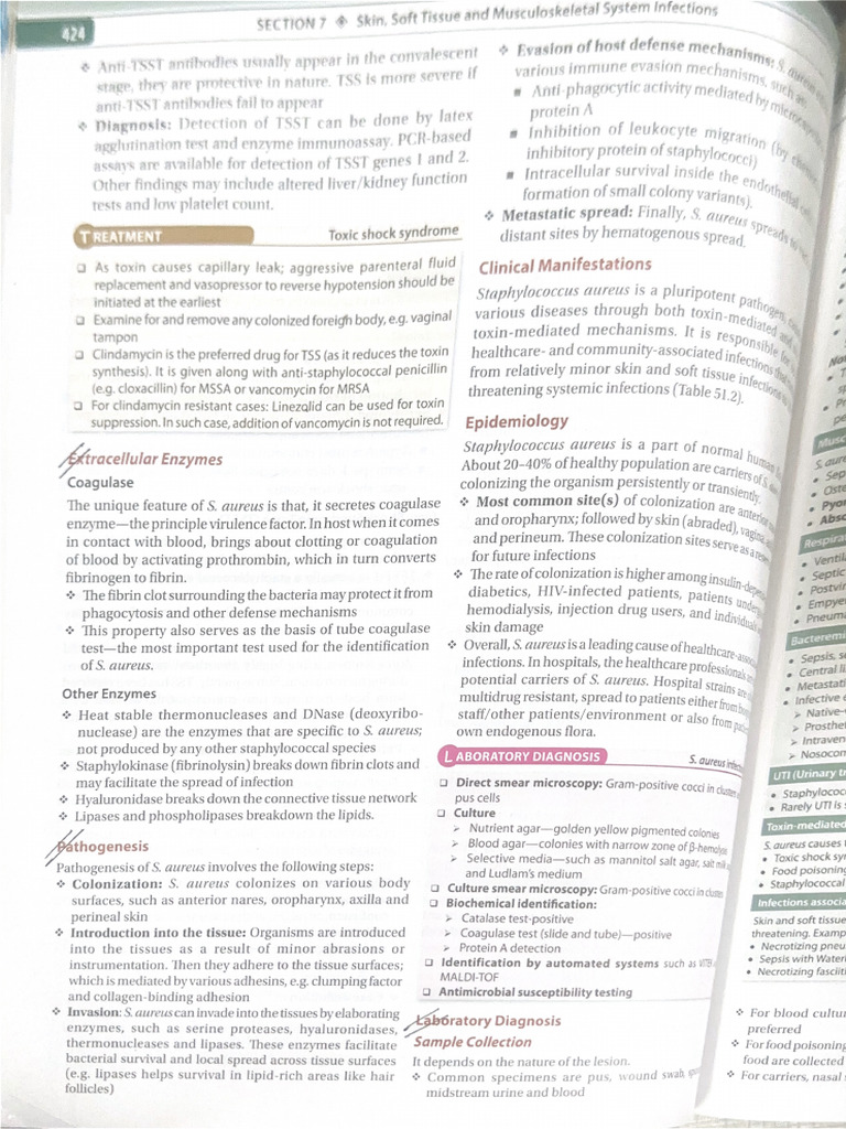 Scanned Document | PDF