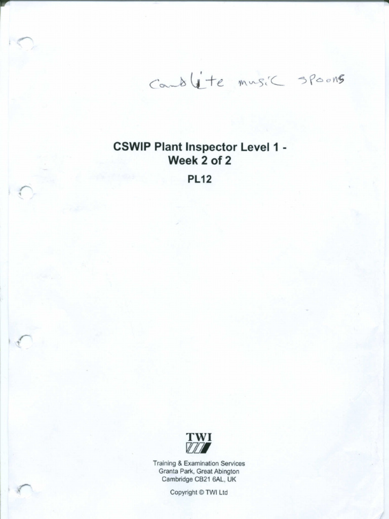Section 1 Roles and Skills of The Plant Inspector | PDF