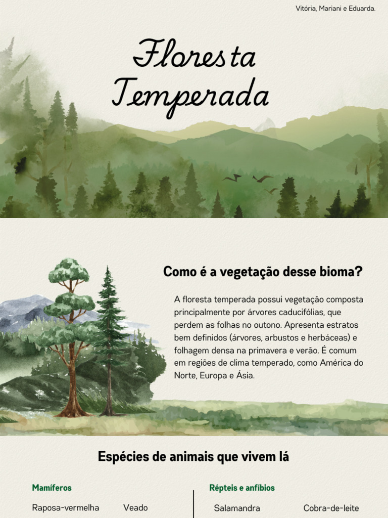 Floresta Temperada: Características e Desafios | PDF | Clima temperado ...