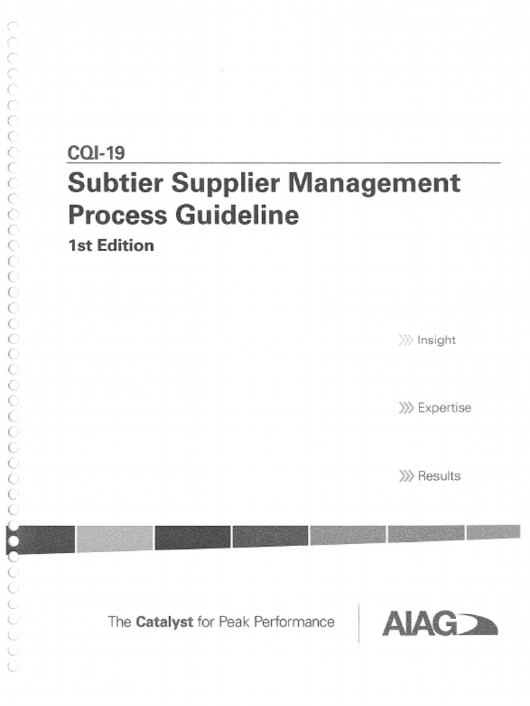 CQI-19 v1_034935 | PDF