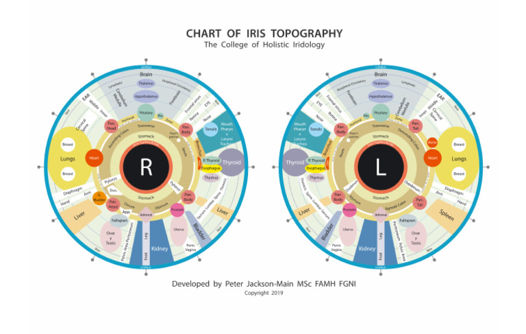 Chart of Iris Topography | PDF