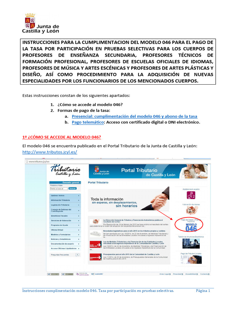 Instrucciones Modelo 046 Tasa Selectivas | PDF | Bancos