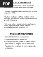 Os Windows 2000 Pro Sp4 Isotonic Solution