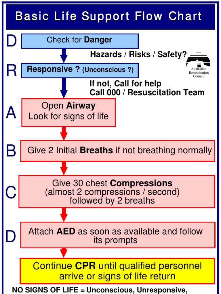 2011 BLS Flowchart Arc_basic_life_support 2011 Emergency Services