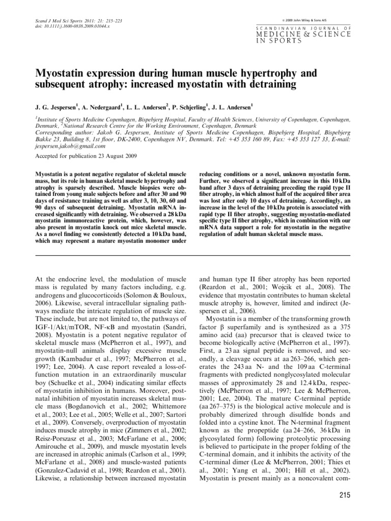 Myostatin's Role in Muscle Hypertrophy | PDF | Skeletal Muscle | Atrophy