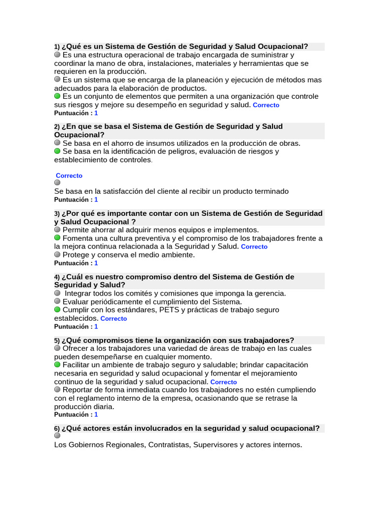 Sistema de Gestión de Seguridad y Salud Ocupacional | PDF | Seguridad y ...