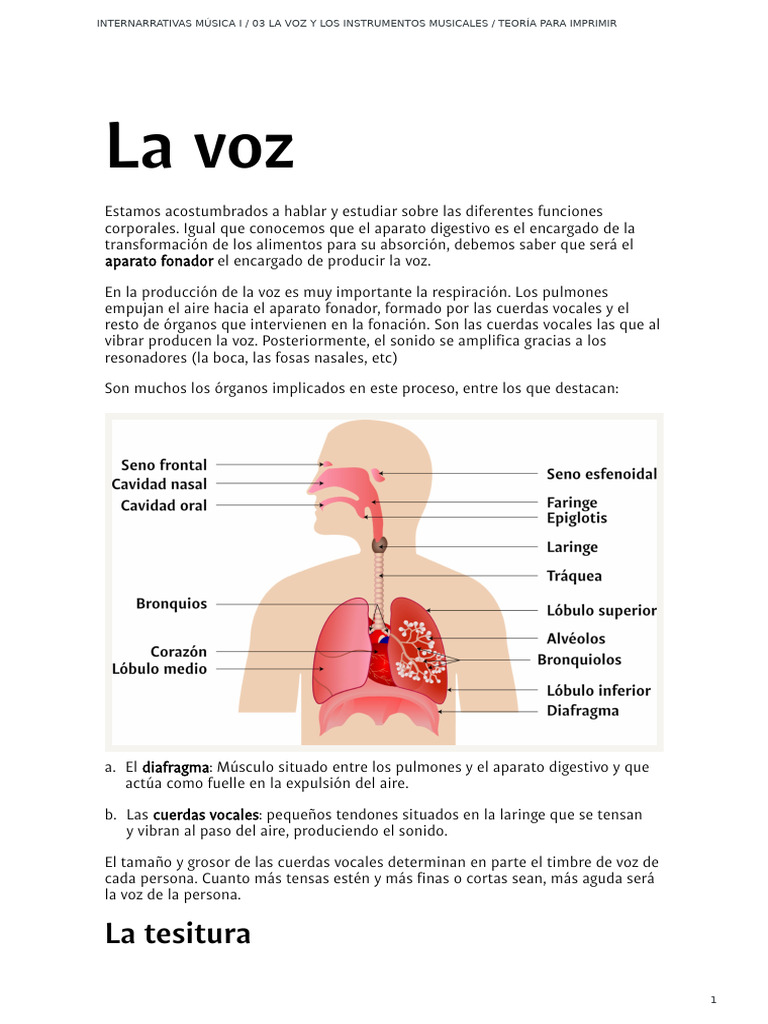 Cuidado y Clasificación de la Voz Musical | PDF | Coro | Instrumentos ...