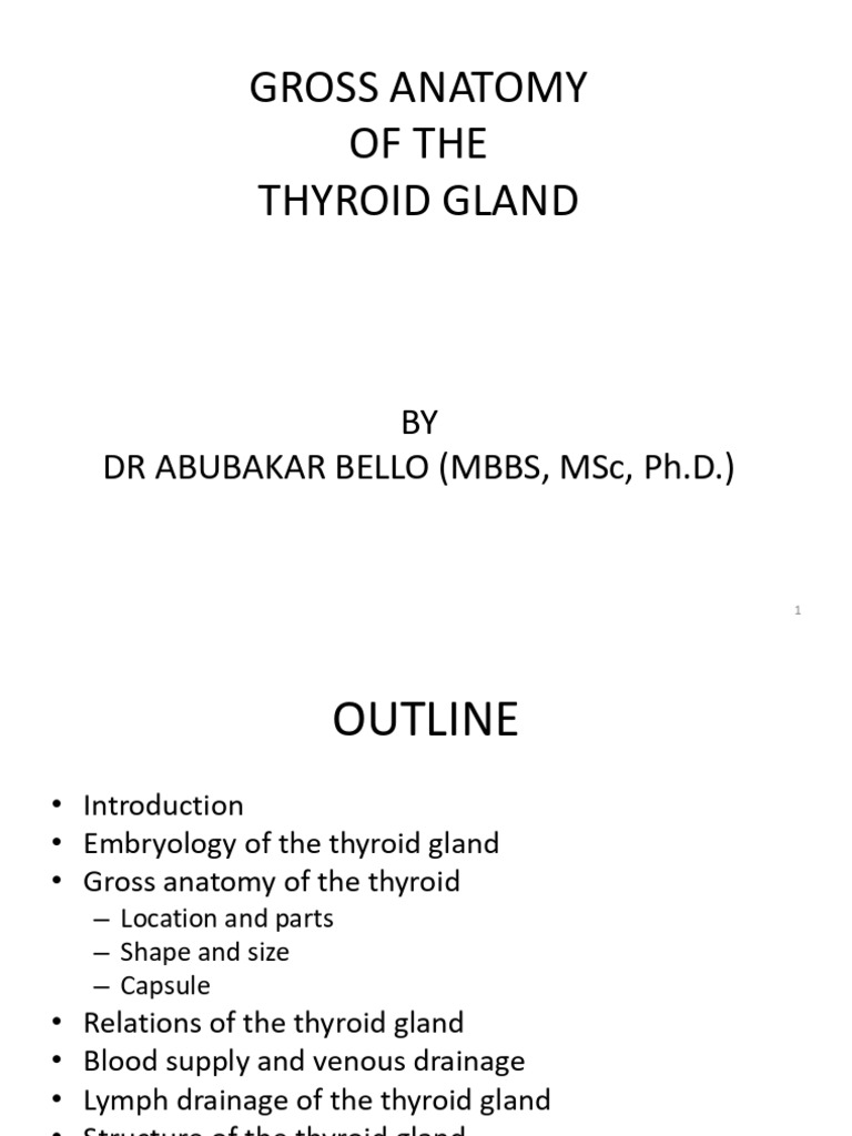 Anatomy of the Thyroid Gland | PDF | Thyroid | Larynx