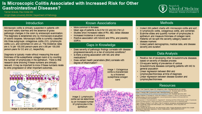 Is Microscopic Colitis Associated With Increased Risk For Other G | PDF ...