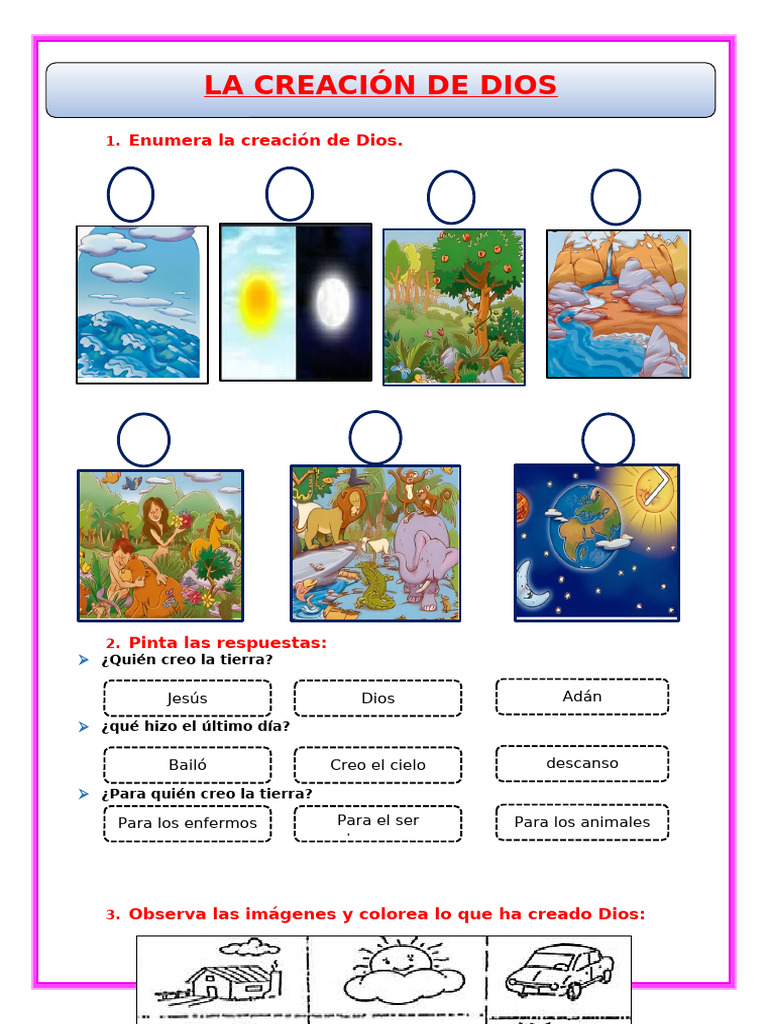 whole brain teaching methods