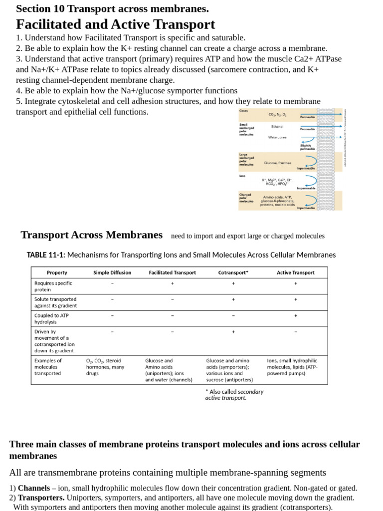 10 Transport Across Membranes | PDF | Cell Membrane | Ion Channel